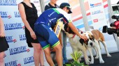 Johan Chaves, Tour de Suisse 2014, stage eight, dogs, pic: ©Sirotti