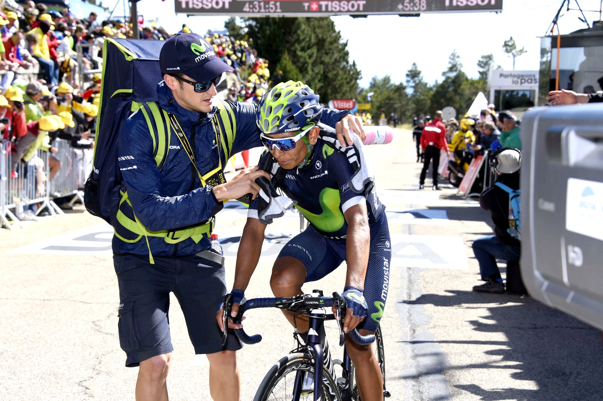 bernard hinault tour