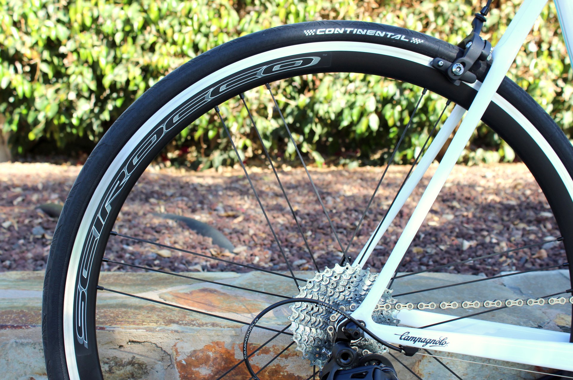 Campagnolo introduce Bora One and Shamal Ultra disc Campagnolo introduce Bora One and Shamal Ultra disc