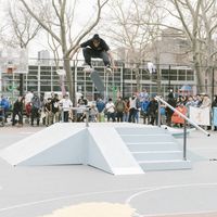 adidas Skate Copa Court Tour