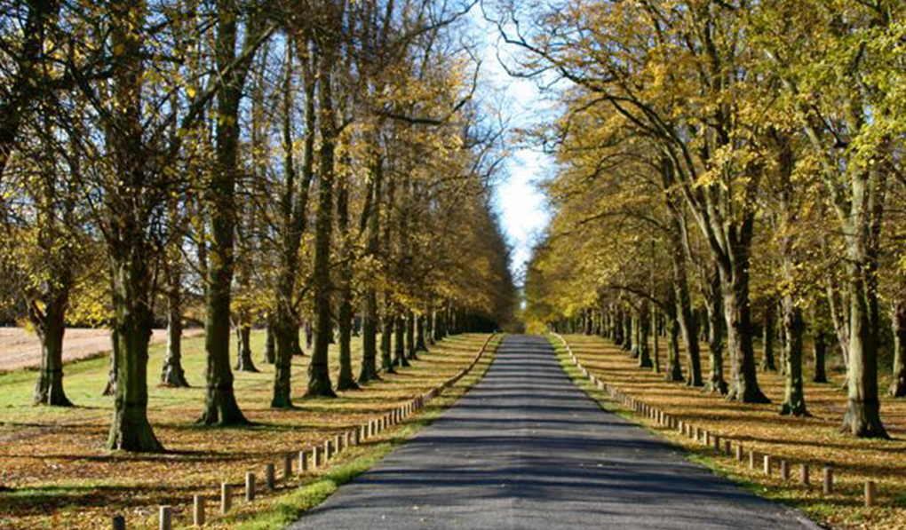 national trust bike rides