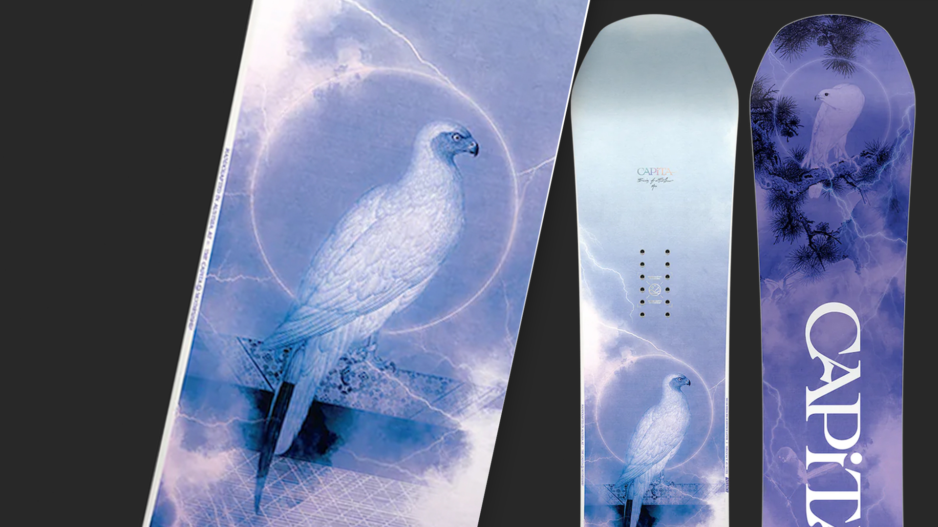 CAPiTA Birds Of A Feather 2023-2024 Women's Snowbo