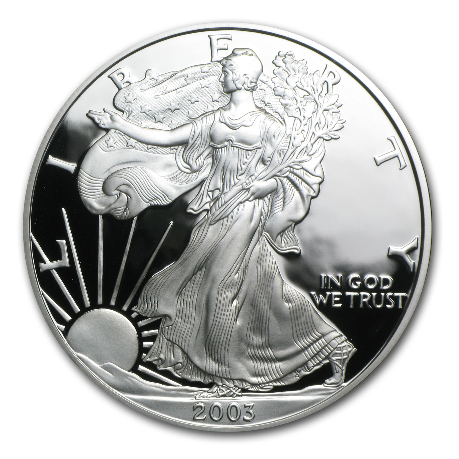2003-W 1 oz Proof American Silver Eagle (w/Box & COA)