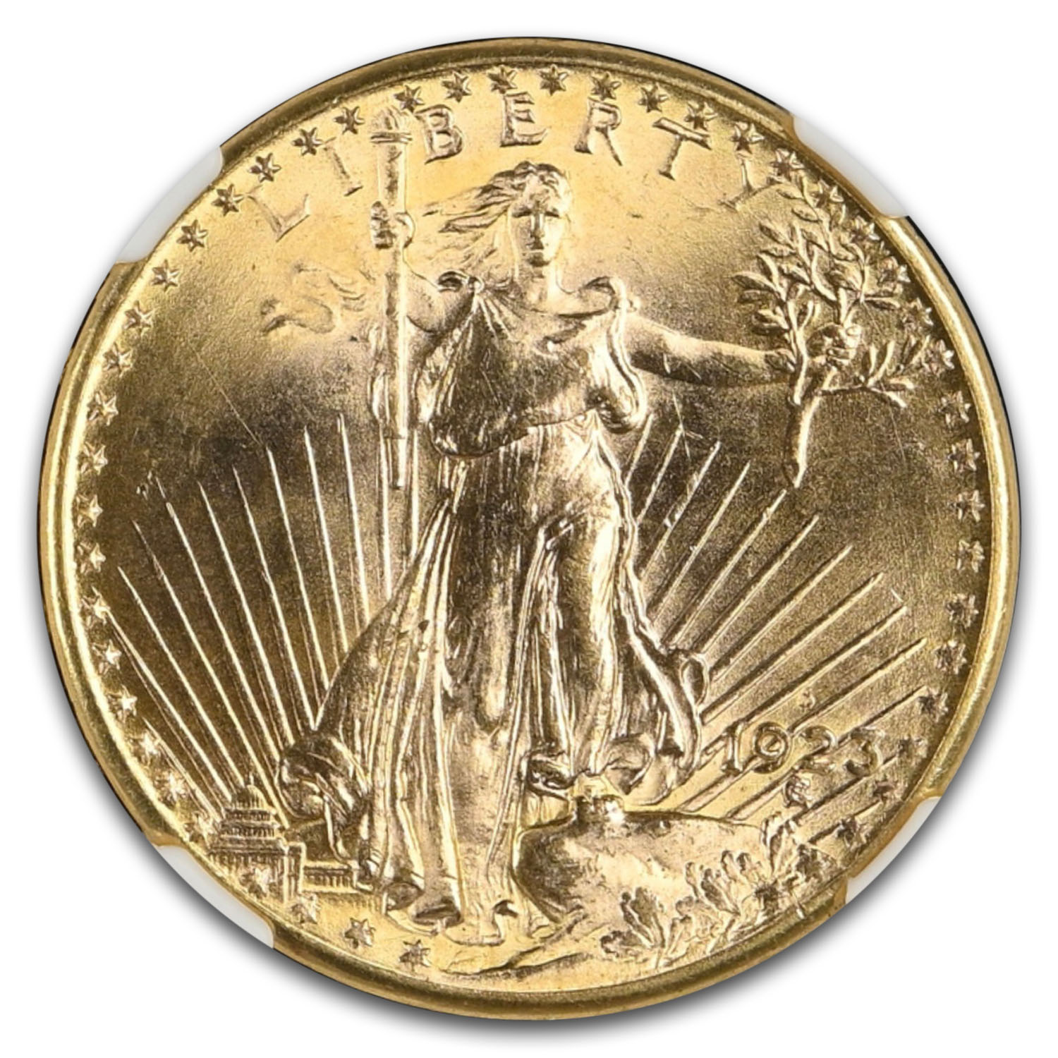 1923-D $20 St Gaudens Gold Double Eagle MS-66 NGC