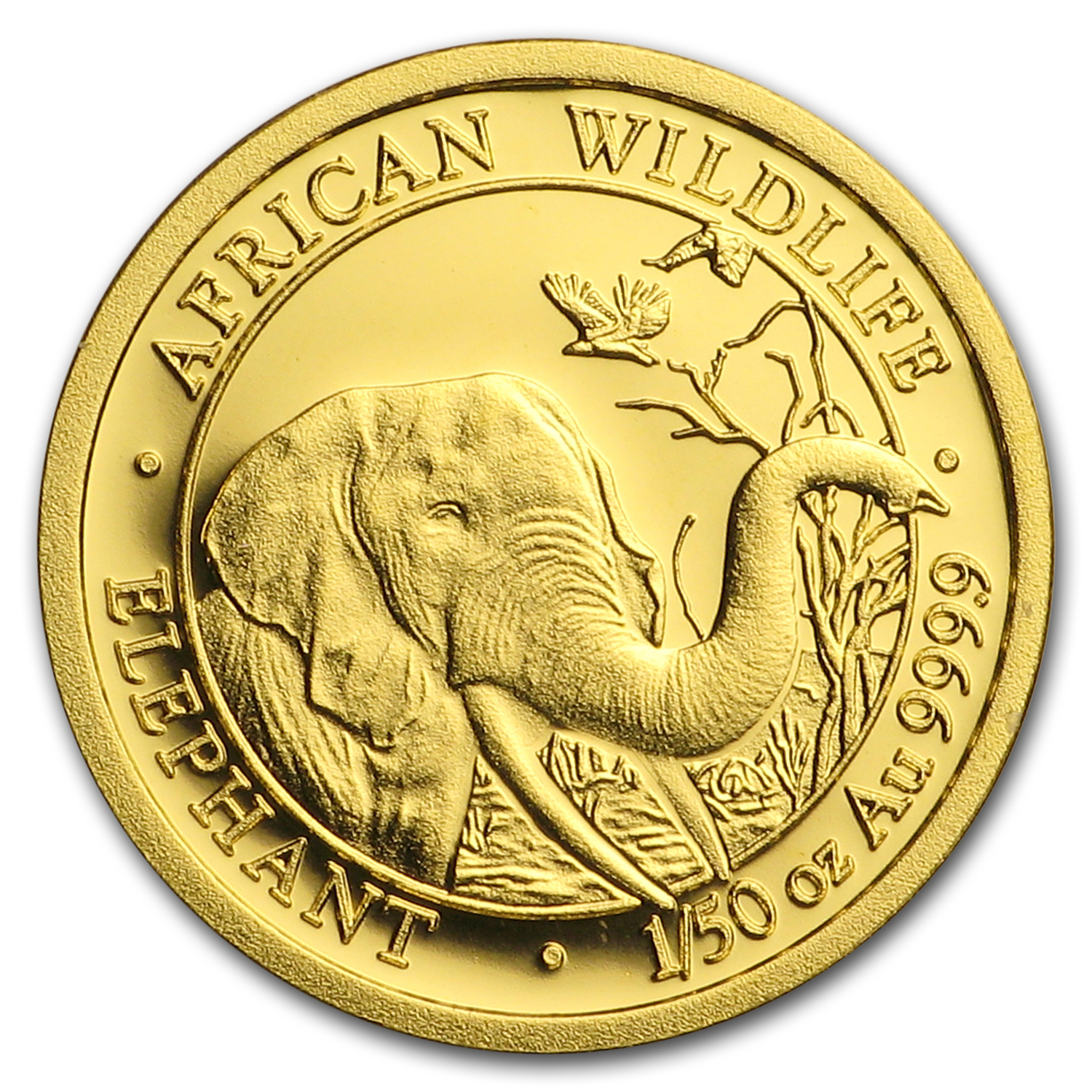 2018 Somalia 1/50 oz Gold African Elephant BU