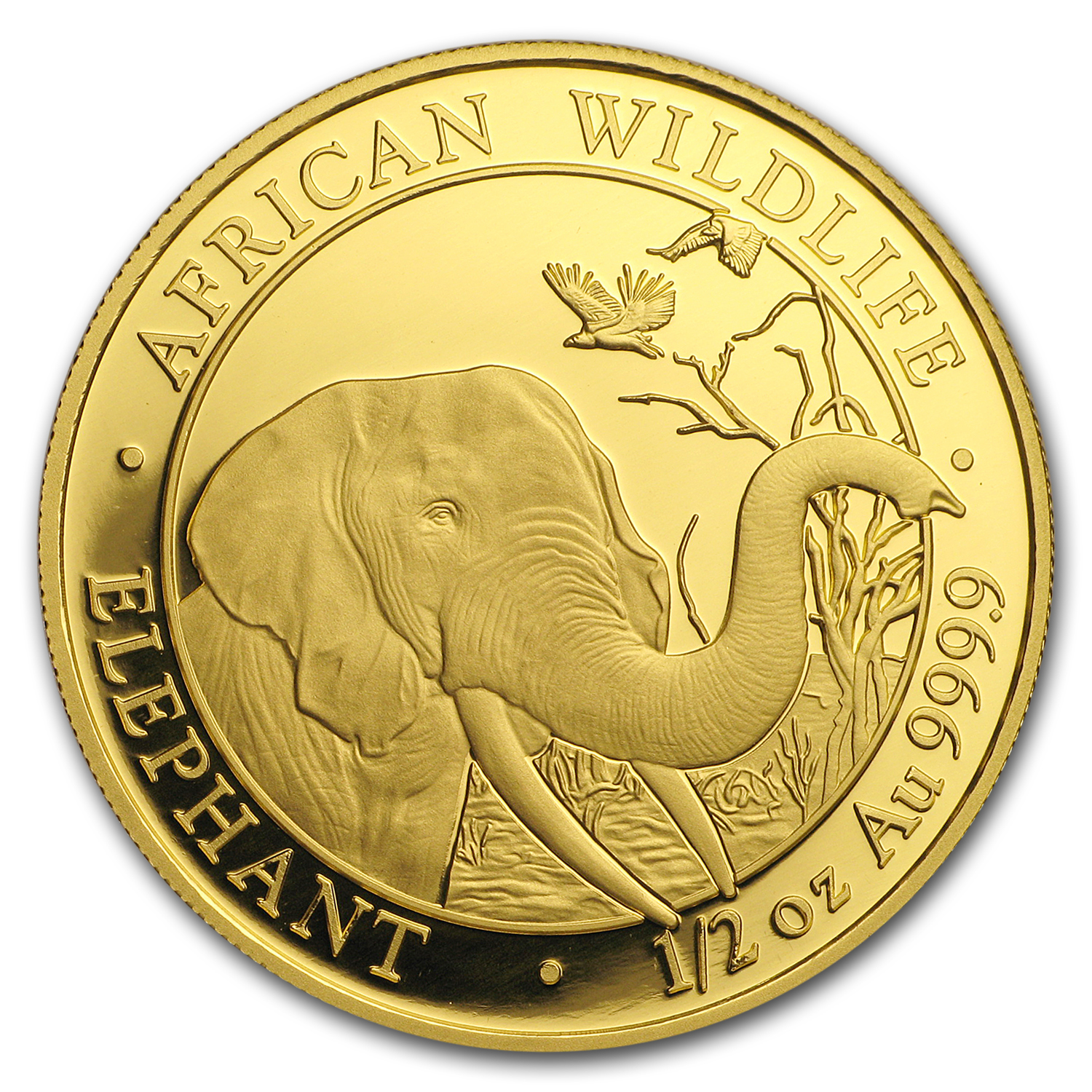2018 Somalia 1/2 oz Gold African Elephant BU