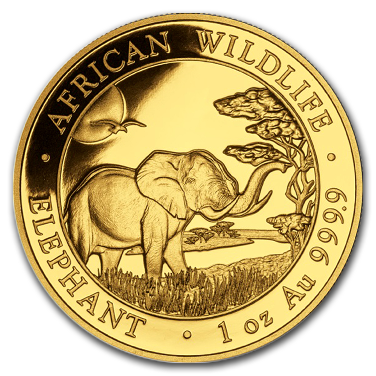 2019 Somalia 1 oz Gold African Elephant BU