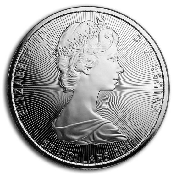 2017 Canada 10 oz Silver $50 Niagara Falls BU