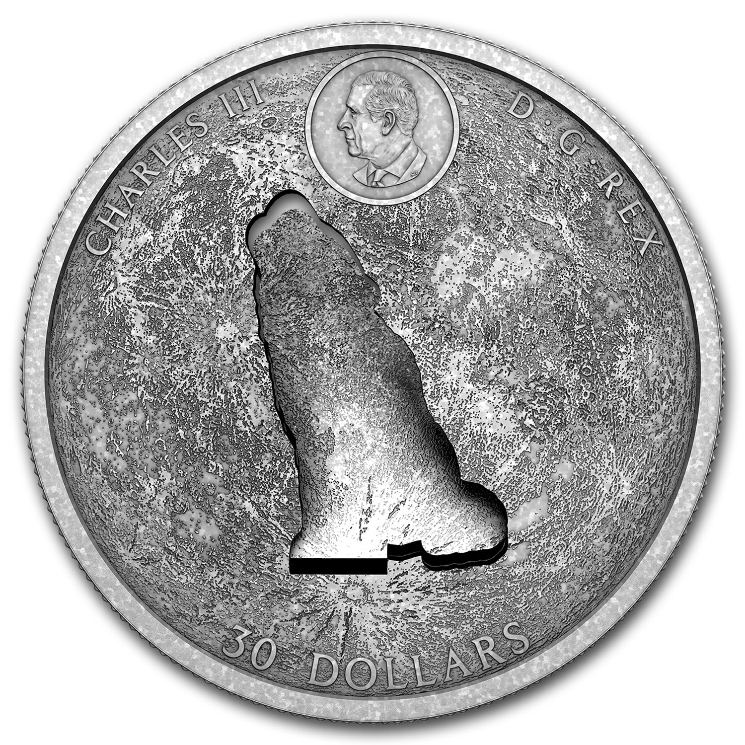 2024 Canada 2 oz Silver $30 The Howling Wolf