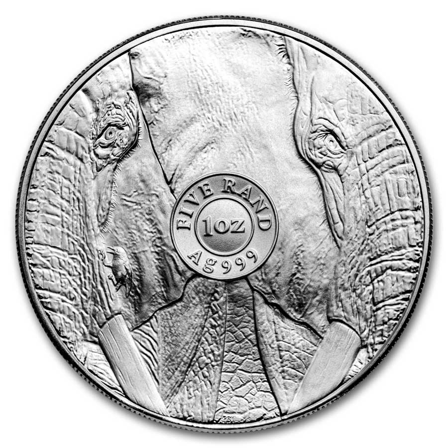 2024 South Africa 1 oz Silver Big Five Elephant BU