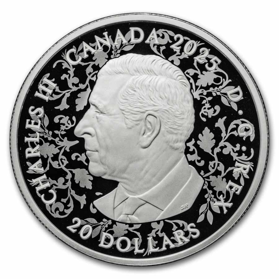 2025 RCM Silver $20 Canada's Diversity: Strength & Abundance