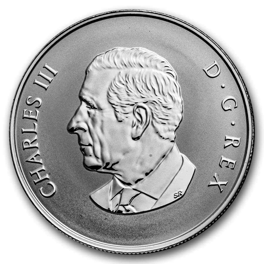 2026 Canada 1/2 oz Silver $10 Welcome Baby Reverse Proof