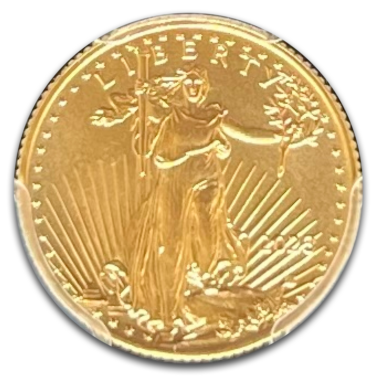 2023 1/10 oz American Gold Eagle MS-70 PCGS (FDI Gold Foil Label)