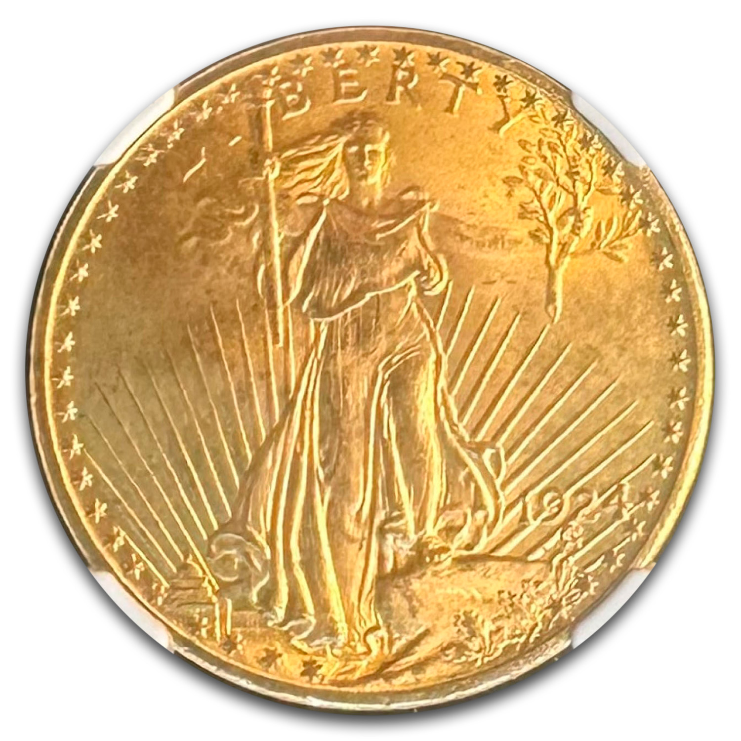 1924 $20 St Gaudens Gold Double Eagle MS-67 NGC