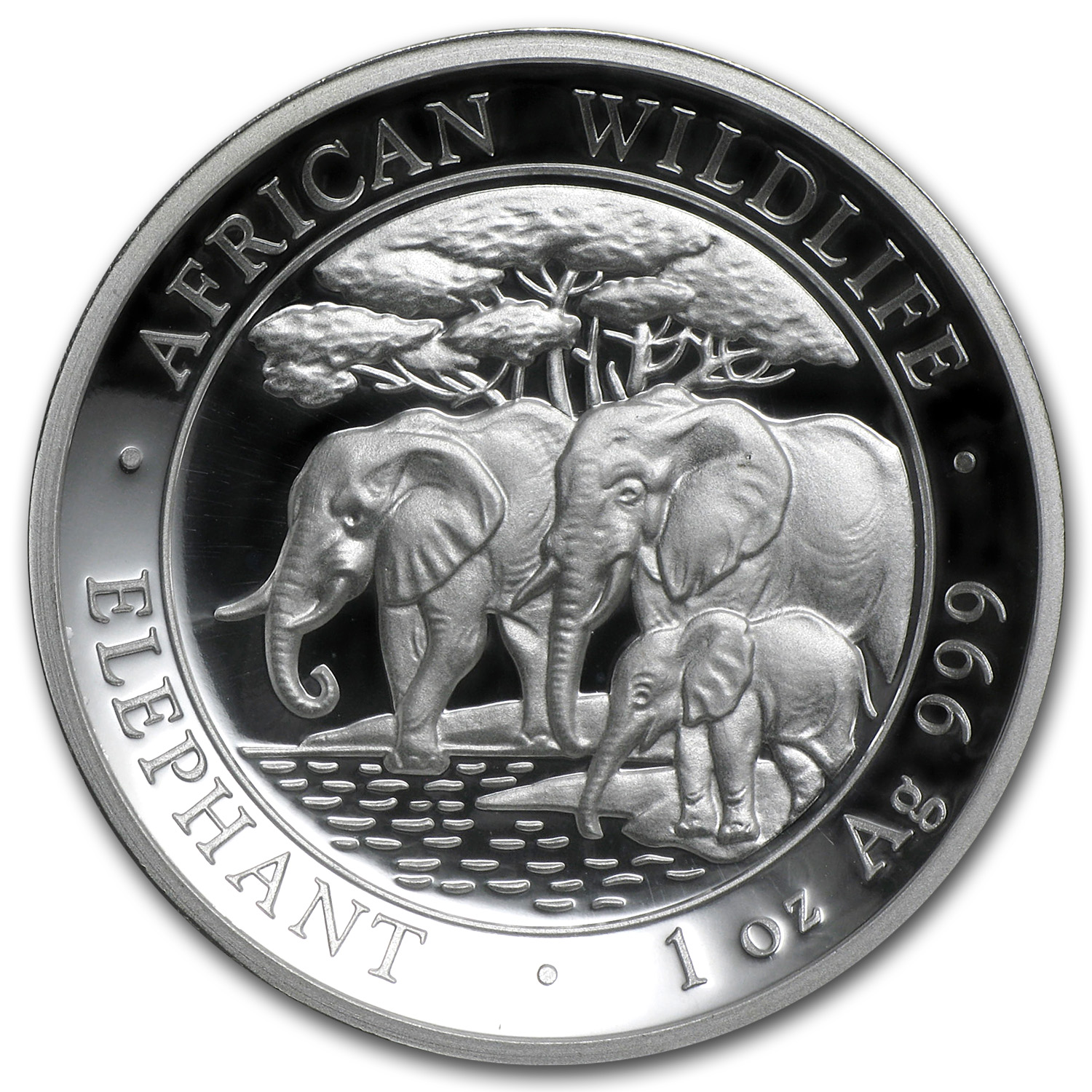2013 Somalia 1 oz Silver Elephant PF-69 NGC (High Relief)