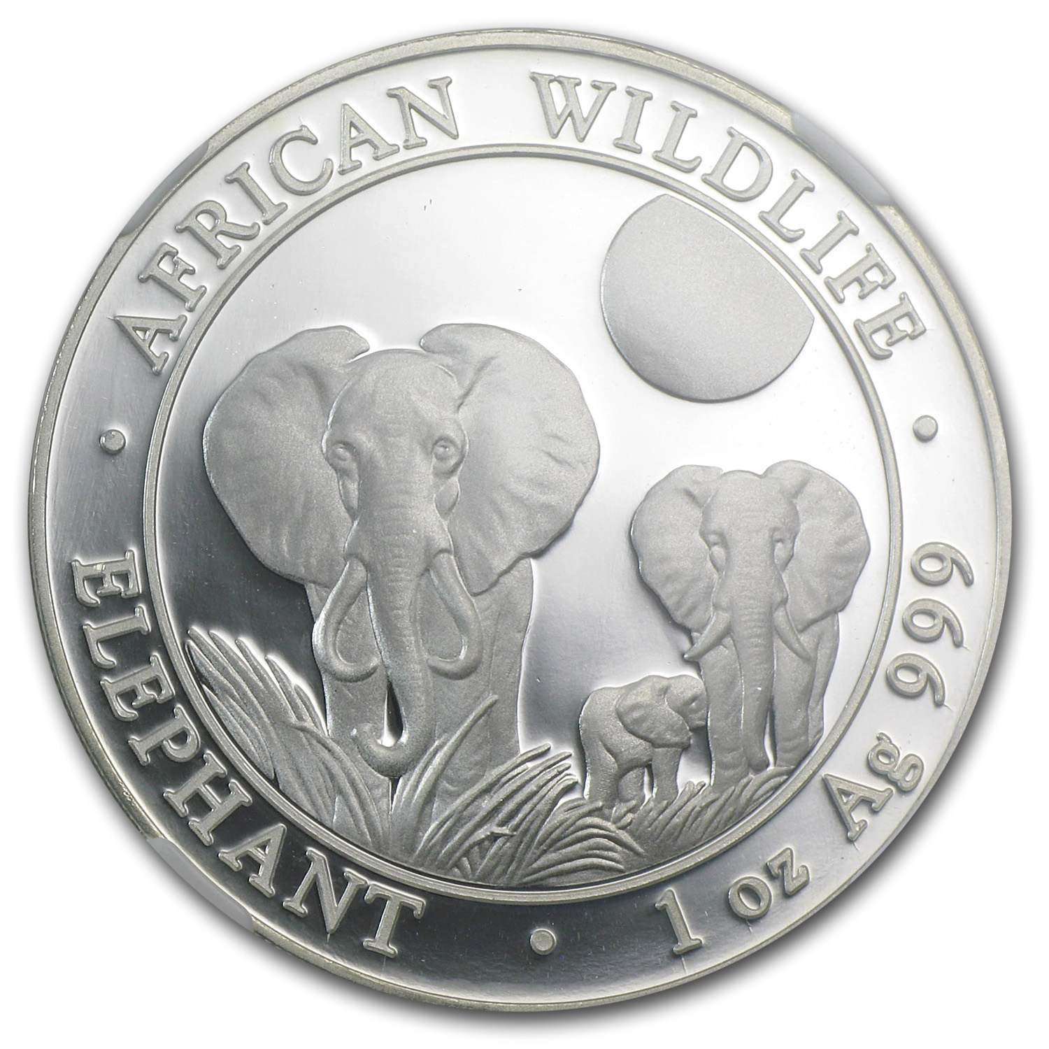 2014 Somalia 1 oz Silver African Elephant MS-69 NGC (ER)