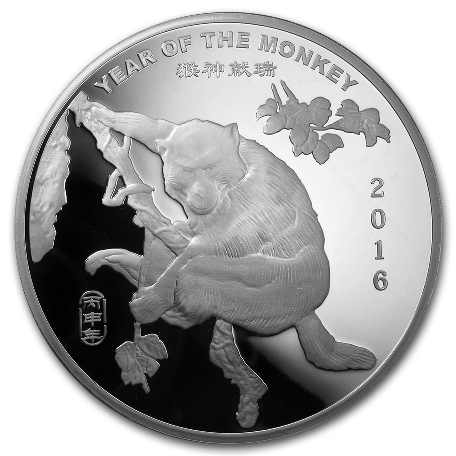 10 oz Silver Round - APMEX (2016 Year of the Monkey)