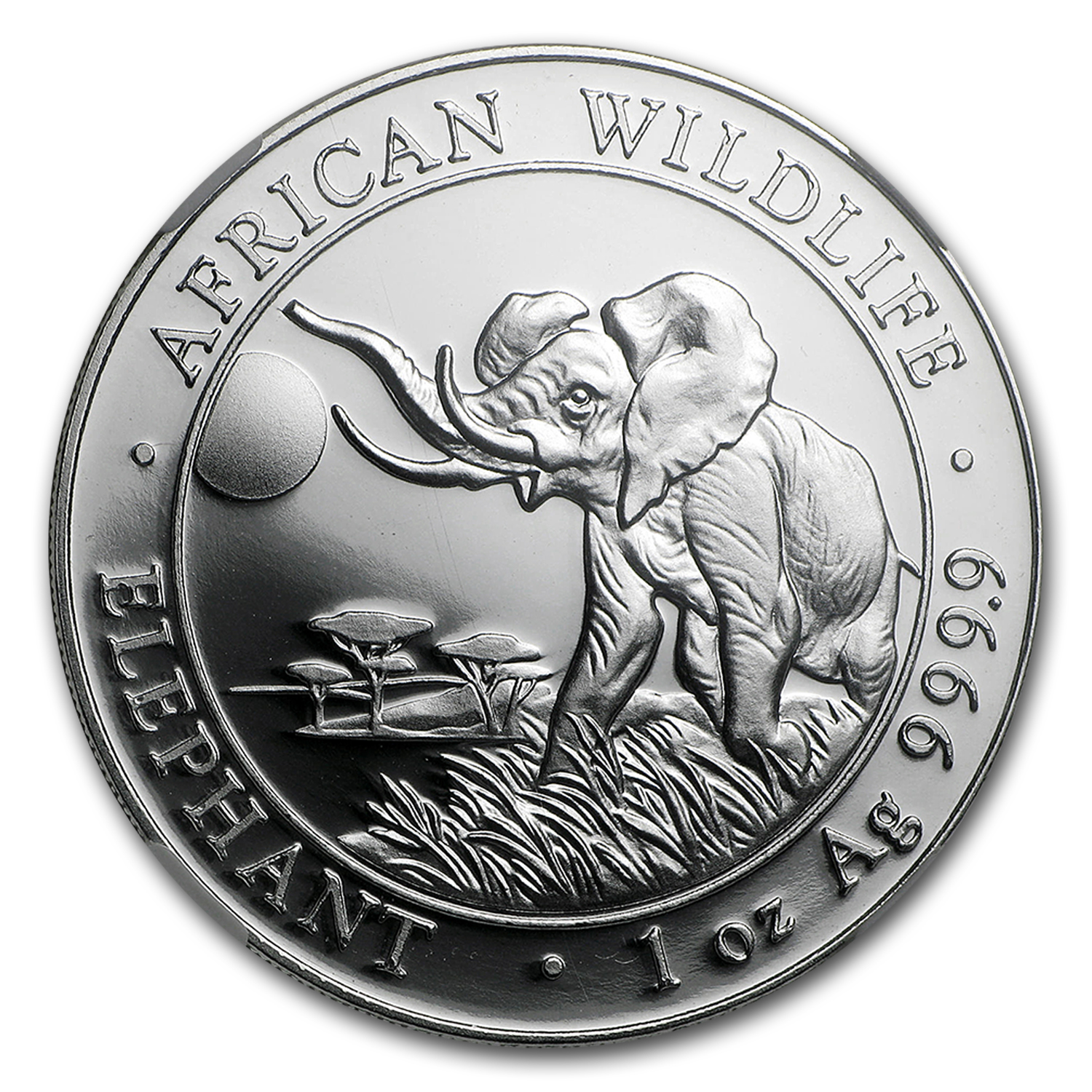 2016 Somalia 1 oz Silver African Elephant MS-70 NGC (ER)