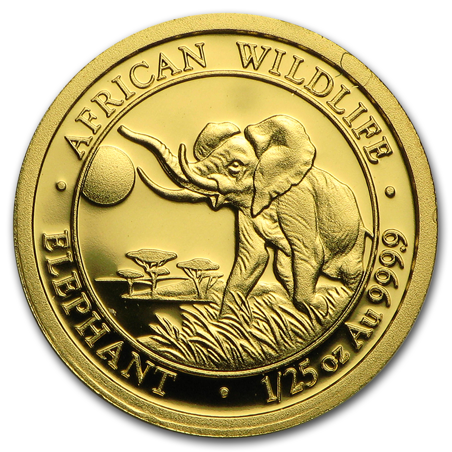2016 Somalia 1/25 oz Gold African Elephant BU