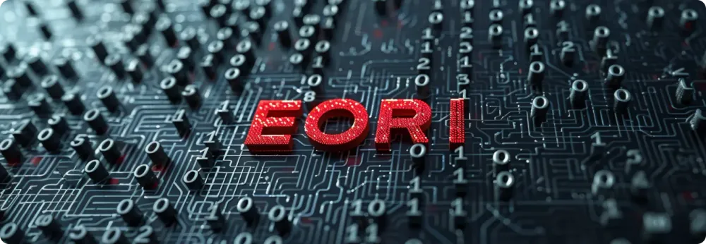 EORI-nummer: functies en toepassingen