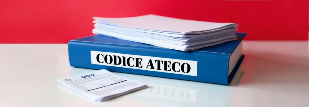 Come aggiungere il codice ATECO online passo dopo passo