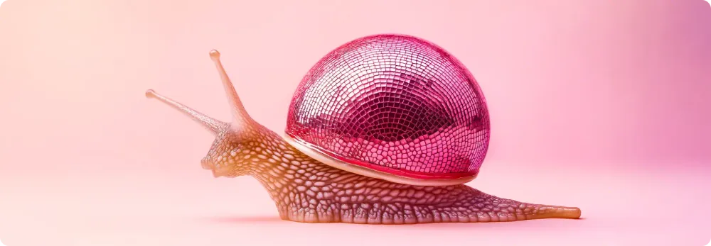 Allevamento di lumache: come iniziare e quanto terreno serve?
