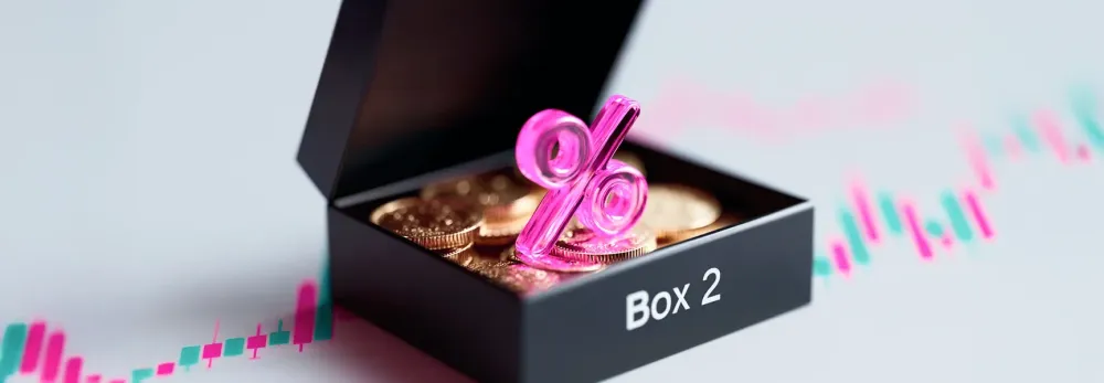 Wat is box 2? En voor wie is Box 2?