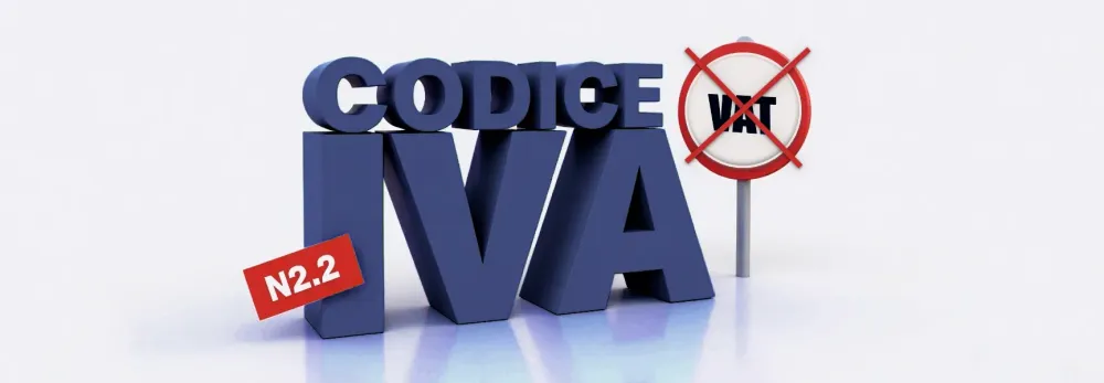 Cos’è il codice IVA N 2.2 e quando deve essere applicato