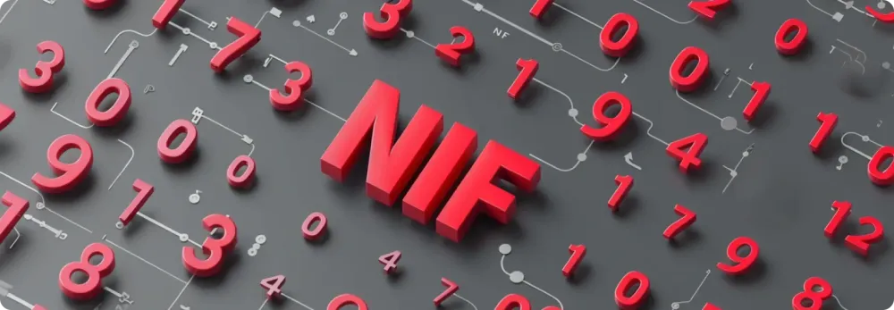 NIF: ¿qué es?