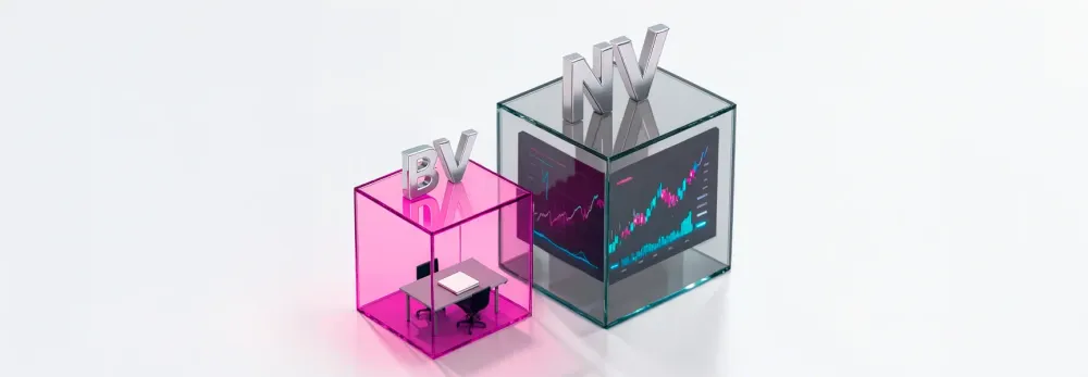 Wat zijn de grootste verschillen tussen de BV en de NV?