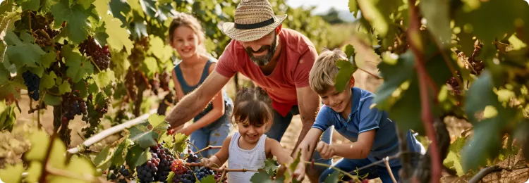 Caractéristiques de la SARL de famille - comment la créer ?