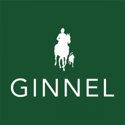 Ginnel