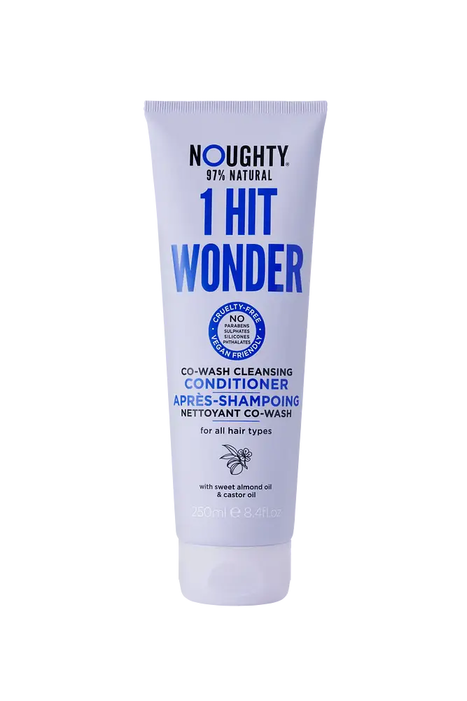 1 Hit Wonder Co Wwsh