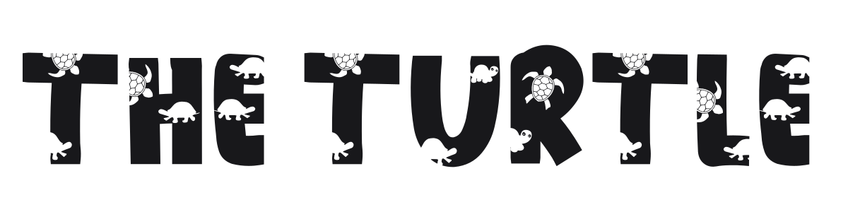 The Turtle preview