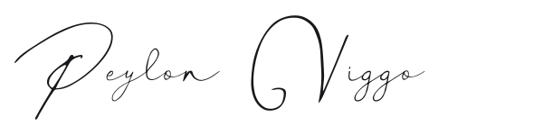 Peylon Viggo preview