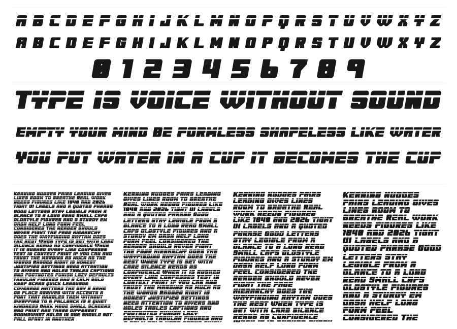 Vegapunk specimen sheet