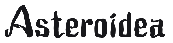 Asteroidea preview