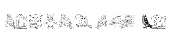 AEZ Owls for Traci preview