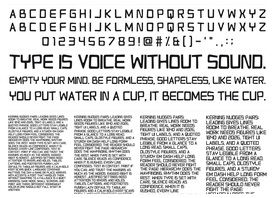 Relapse Into Madness specimen sheet