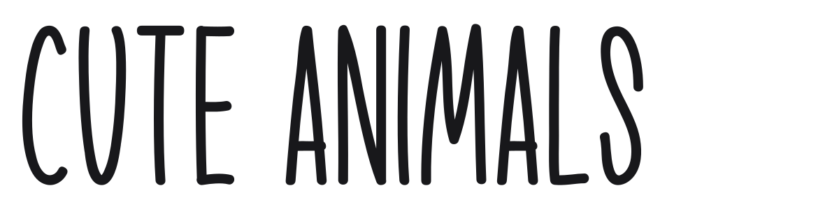 Cute Animals preview