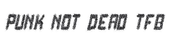 Punk Not Dead TFB preview