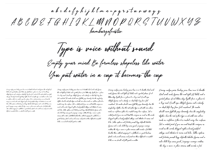 Bootleg Hayes specimen sheet
