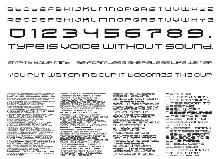 Gigasunmo specimen sheet