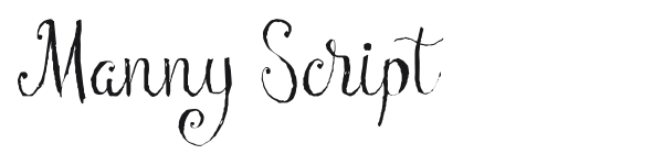 Manny Script preview