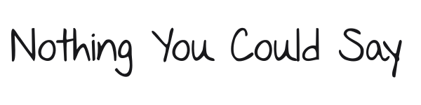 Nothing You Could Say preview