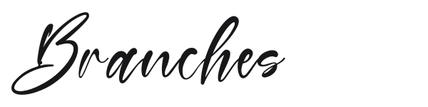 Branches preview