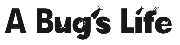A Bug's Life preview