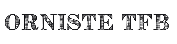 Orniste TFB preview
