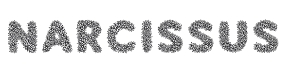 Narcissus preview