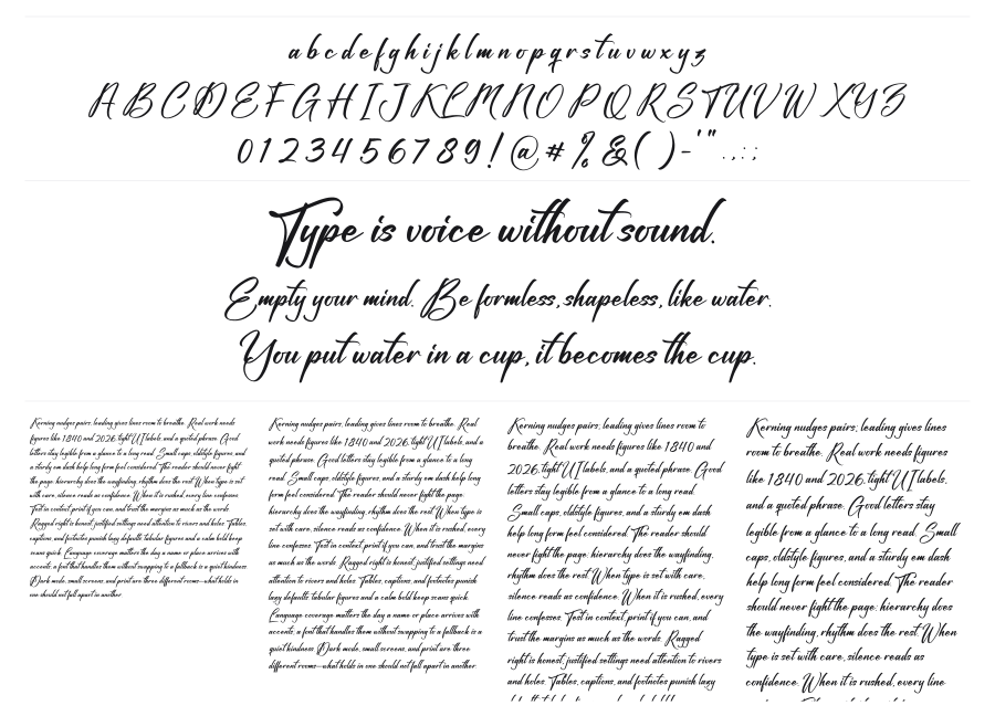 Fighterland Script – FontToolbox
